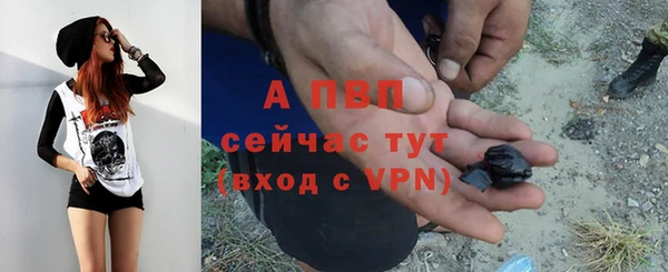 индика Алексин
