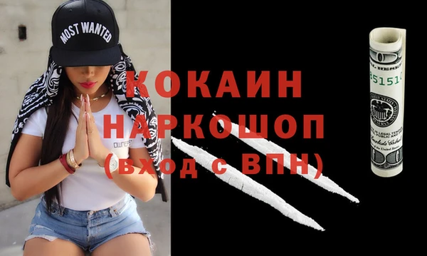индика Алексин