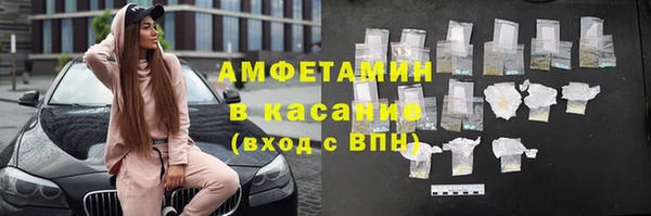 индика Алексин