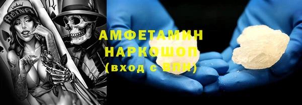индика Алексин