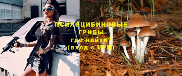 дживик Алзамай