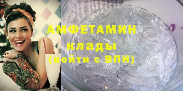 индика Алексин