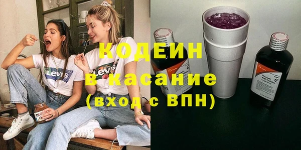 индика Алексин