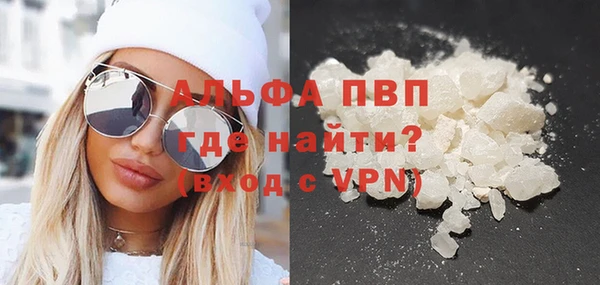 индика Алексин