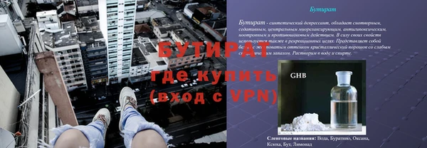 индика Алексин