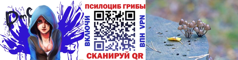 Псилоцибиновые грибы Cubensis  сайты даркнета как зайти  Чадан 